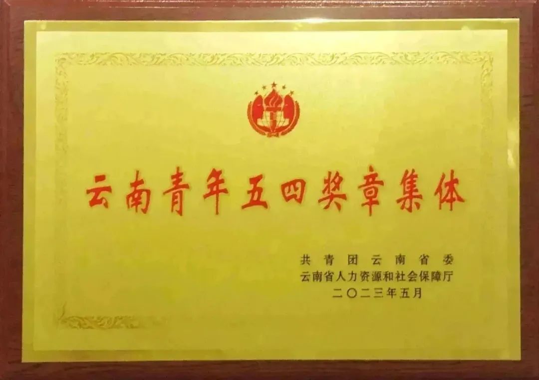 企業(yè)榮譽(yù)4